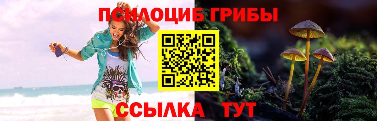 Ейск  Галлюциногенные грибы прущие грибы  Вход с VPN 